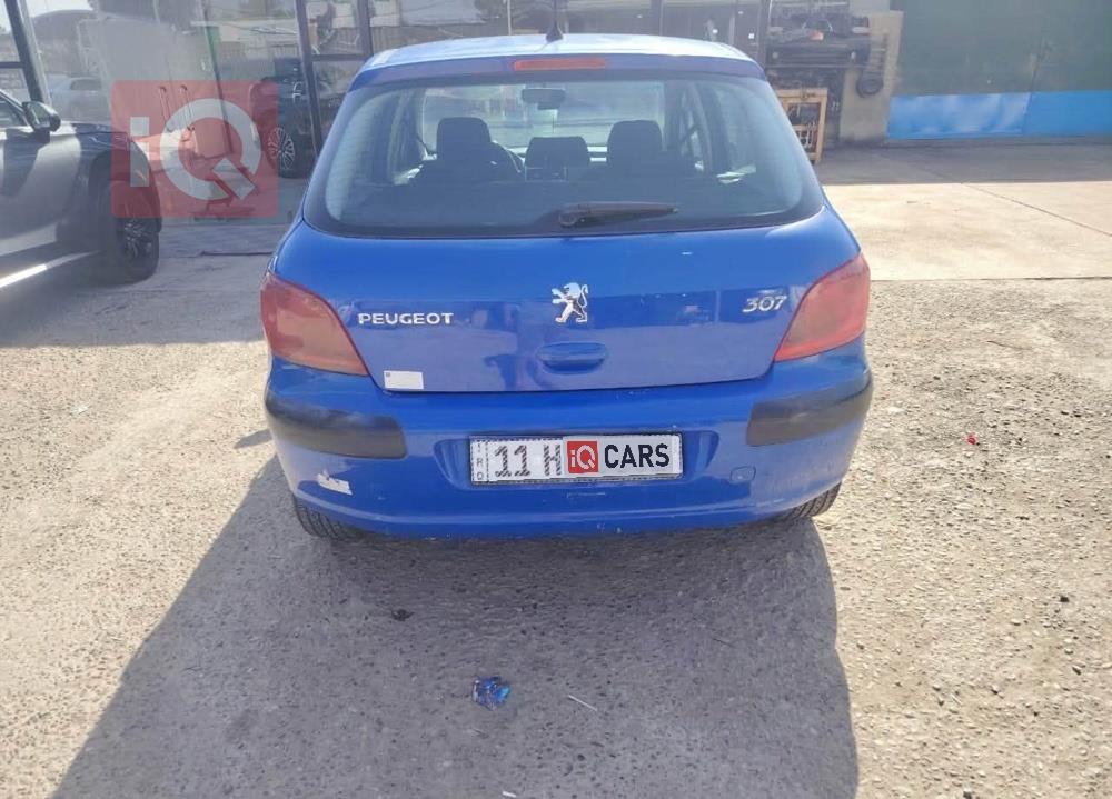 بيجو 307